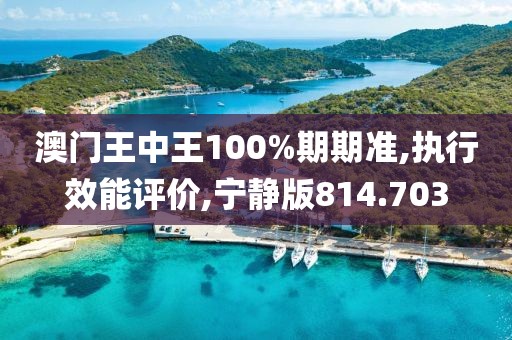 澳門王中王100%期期準(zhǔn),執(zhí)行效能評(píng)價(jià),寧?kù)o版814.703