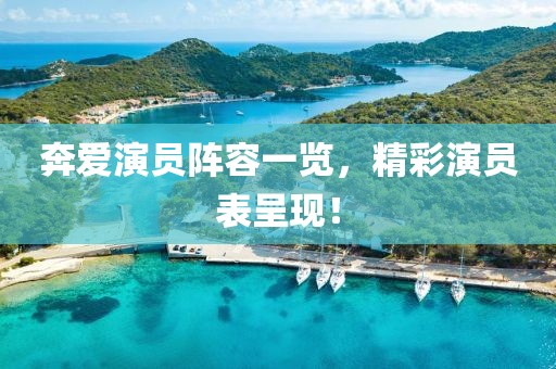 奔愛演員陣容一覽，精彩演員表呈現(xiàn)！