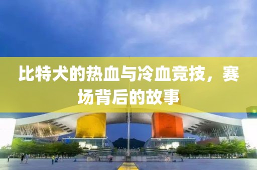 比特犬的熱血與冷血競技，賽場背后的故事