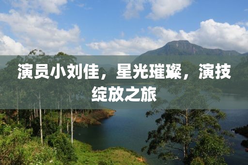 演員小劉佳，星光璀璨，演技綻放之旅