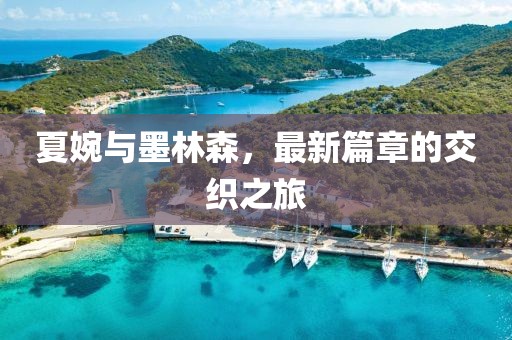 夏婉與墨林森，最新篇章的交織之旅