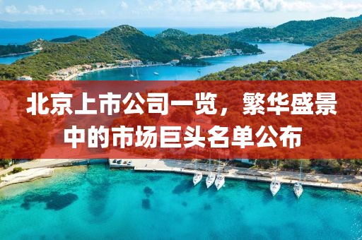 北京上市公司一覽，繁華盛景中的市場(chǎng)巨頭名單公布