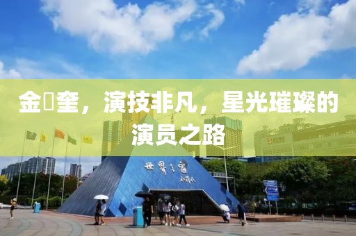金旻奎，演技非凡，星光璀璨的演員之路