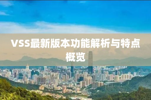 VSS最新版本功能解析與特點(diǎn)概覽