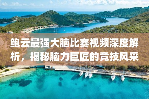 鮑云最強(qiáng)大腦比賽視頻深度解析，揭秘腦力巨匠的競(jìng)技風(fēng)采