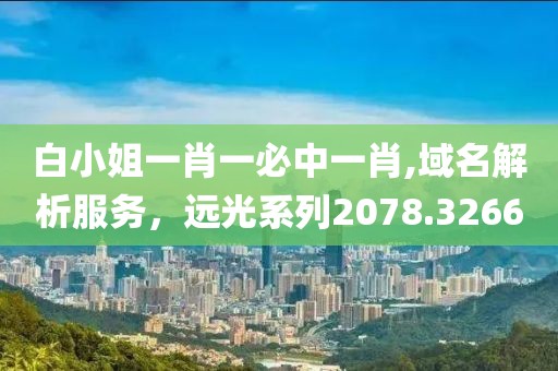 白小姐一肖一必中一肖,域名解析服務(wù)，遠(yuǎn)光系列2078.3266