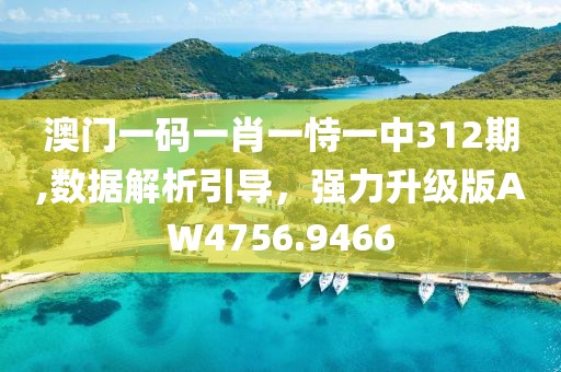 澳門一碼一肖一恃一中312期,數據解析引導，強力升級版AW4756.9466
