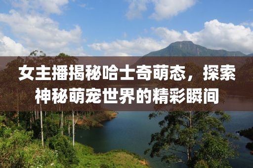 女主播揭秘哈士奇萌態(tài)，探索神秘萌寵世界的精彩瞬間