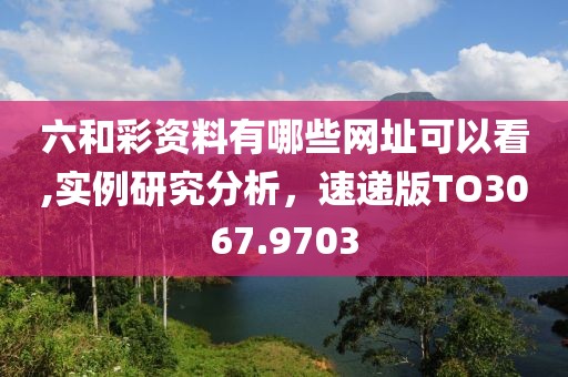 六和彩資料有哪些網(wǎng)址可以看,實(shí)例研究分析，速遞版TO3067.9703