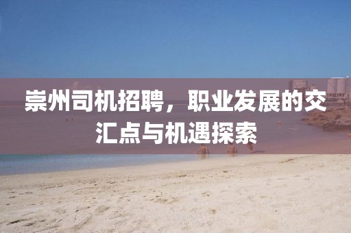 崇州司機(jī)招聘，職業(yè)發(fā)展的交匯點(diǎn)與機(jī)遇探索