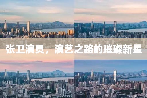 張衛(wèi)演員，演藝之路的璀璨新星