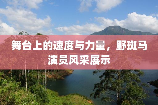 舞臺上的速度與力量，野斑馬演員風(fēng)采展示