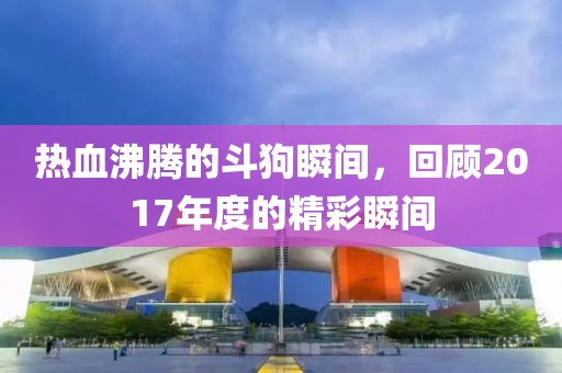熱血沸騰的斗狗瞬間，回顧2017年度的精彩瞬間