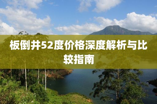 板倒井52度價格深度解析與比較指南