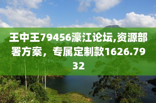 王中王79456濠江論壇,資源部署方案，專屬定制款1626.7932