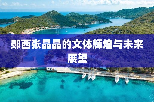 鄖西張晶晶的文體輝煌與未來(lái)展望