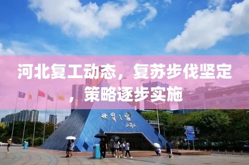 河北復(fù)工動態(tài)，復(fù)蘇步伐堅定，策略逐步實施