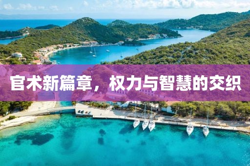官術(shù)新篇章，權(quán)力與智慧的交織