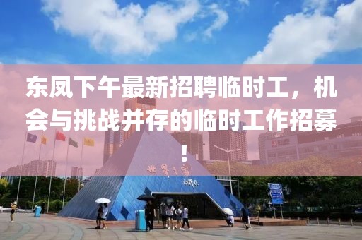 東鳳下午最新招聘臨時工，機會與挑戰(zhàn)并存的臨時工作招募！