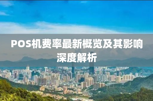 POS機(jī)費率最新概覽及其影響深度解析