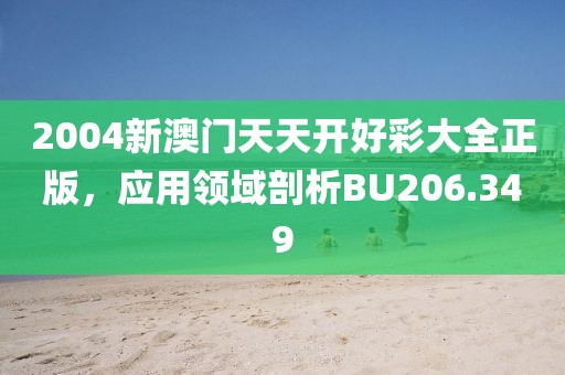2004新澳門天天開好彩大全正版，應(yīng)用領(lǐng)域剖析BU206.349