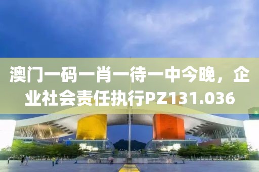 澳門一碼一肖一待一中今晚，企業(yè)社會(huì)責(zé)任執(zhí)行PZ131.036