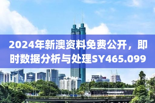 2024年新澳資料免費(fèi)公開(kāi)，即時(shí)數(shù)據(jù)分析與處理SY465.099