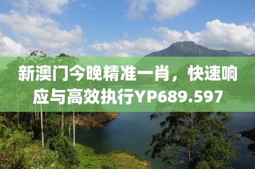 新澳門今晚精準一肖，快速響應與高效執(zhí)行YP689.597