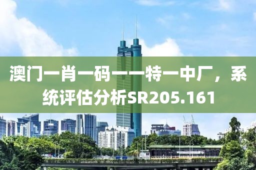 澳門一肖一碼一一特一中廠，系統(tǒng)評估分析SR205.161