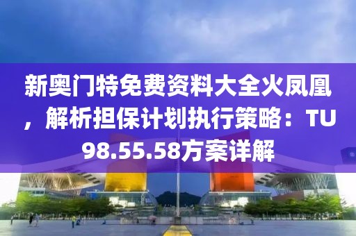 新奧門特免費(fèi)資料大全火鳳凰，解析擔(dān)保計(jì)劃執(zhí)行策略：TU98.55.58方案詳解
