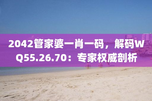 2042管家婆一肖一碼，解碼WQ55.26.70：專家權(quán)威剖析