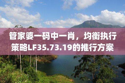管家婆一碼中一肖，均衡執(zhí)行策略LF35.73.19的推行方案