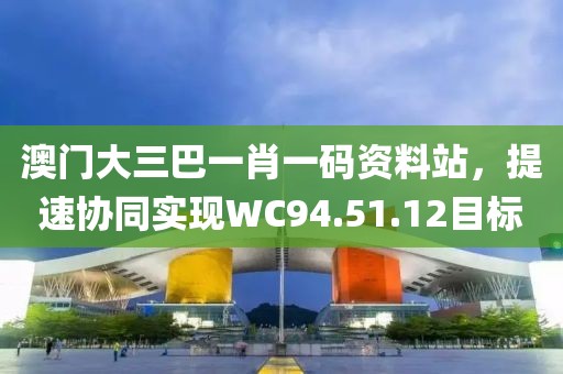 澳門大三巴一肖一碼資料站，提速協(xié)同實(shí)現(xiàn)WC94.51.12目標(biāo)
