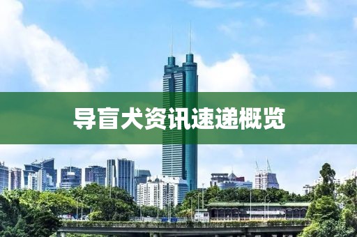 導盲犬資訊速遞概覽
