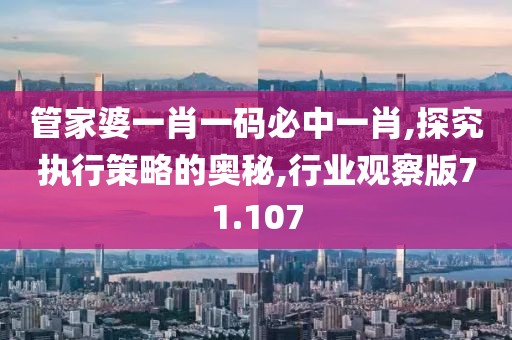 管家婆一肖一碼必中一肖,探究執(zhí)行策略的奧秘,行業(yè)觀察版71.107