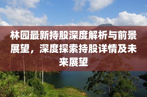 林園最新持股深度解析與前景展望，深度探索持股詳情及未來(lái)展望