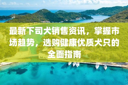 最新下司犬銷售資訊，掌握市場趨勢，選購健康優(yōu)質(zhì)犬只的全面指南