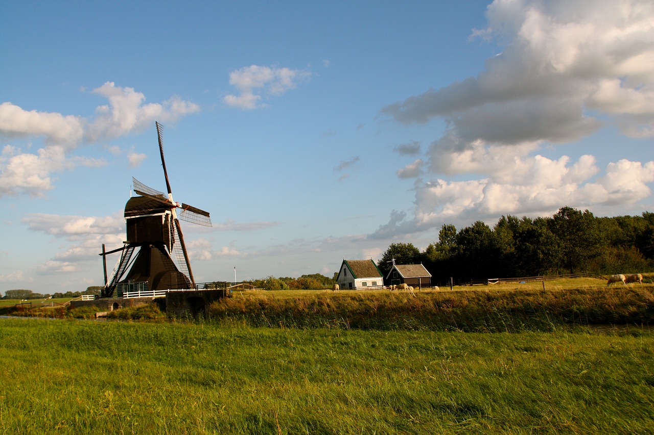 上海張園規(guī)劃最新動態(tài)，重塑歷史名園，展現(xiàn)未來魅力風采