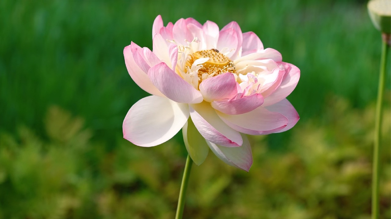 今日早安美圖分享，喚醒美好一天的溫馨畫(huà)面