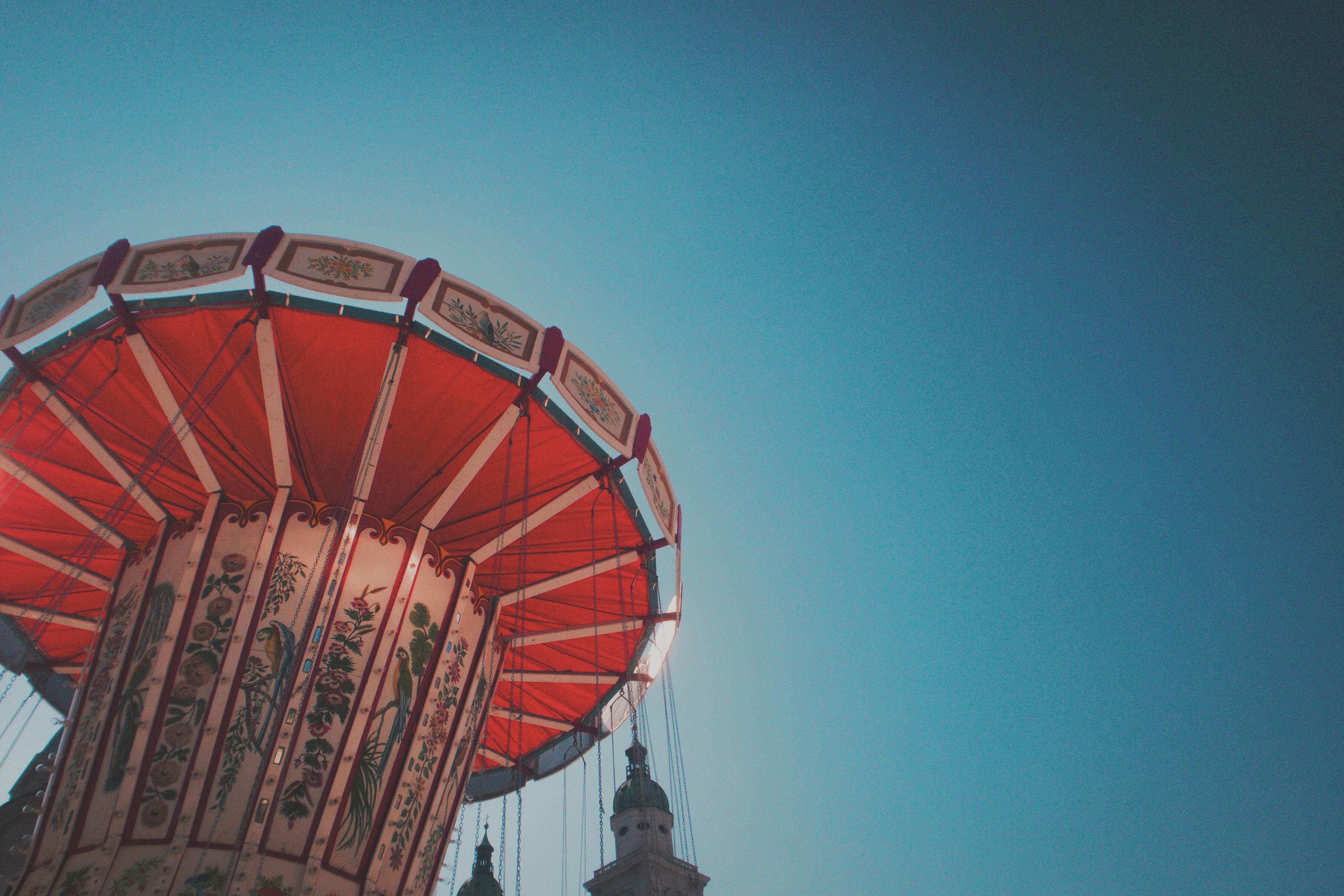 沙灘最新豬價(jià)動態(tài)分析與趨勢預(yù)測