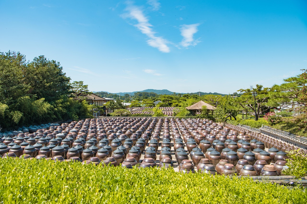 格調(diào)松間最新動(dòng)態(tài)，探索與發(fā)展之路