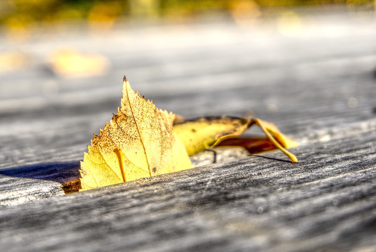 中電環(huán)保股價最新動態(tài)及分析摘要