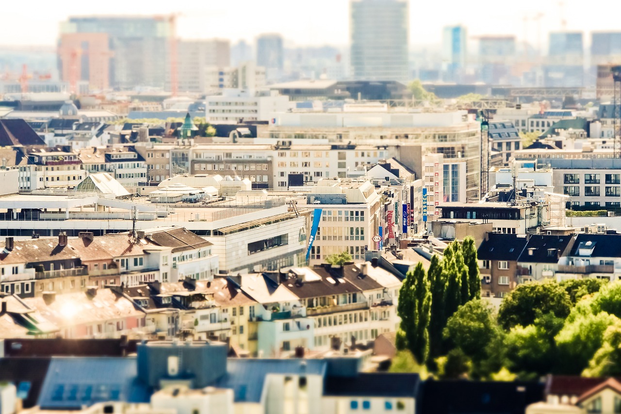 天欣苑二期最新資訊深度解析與概述