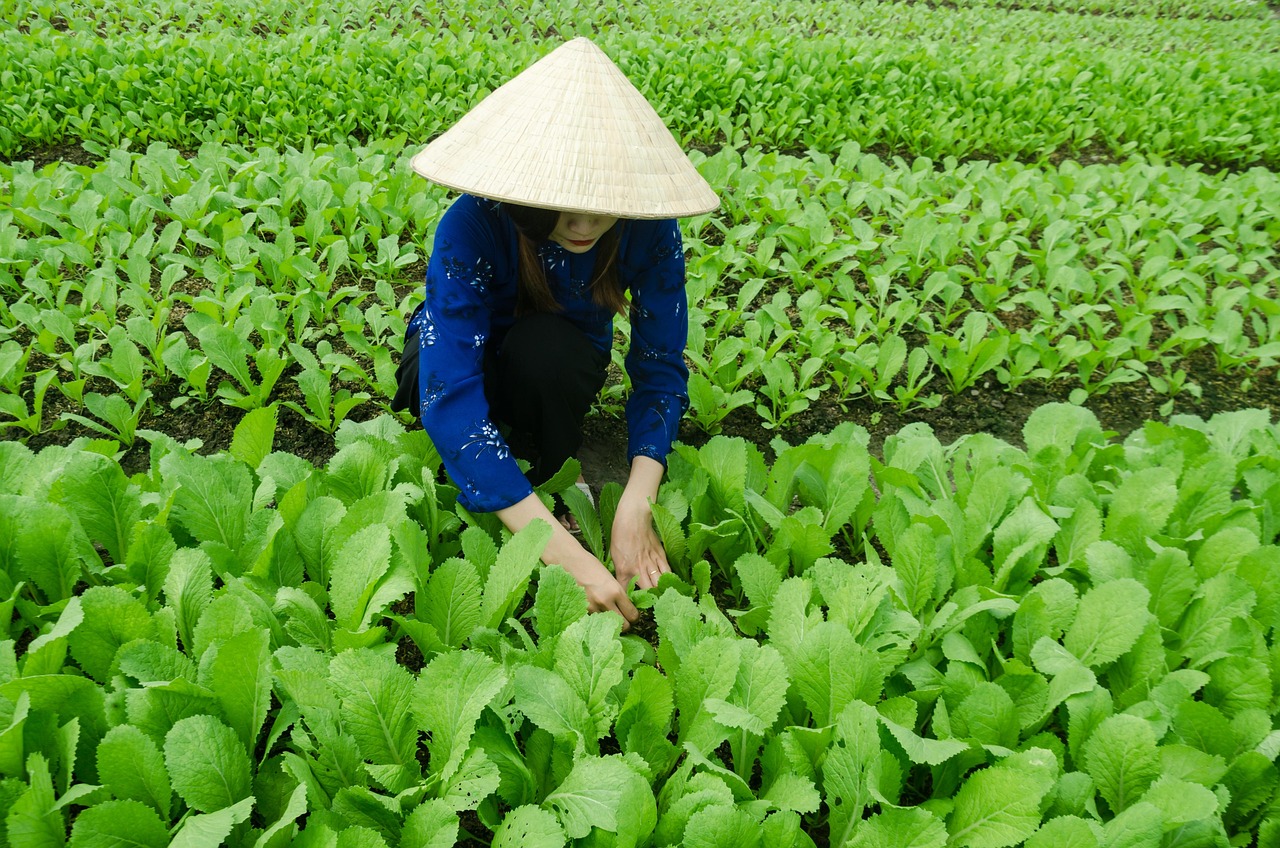 金華雅苑拆遷最新進展及動態(tài)更新