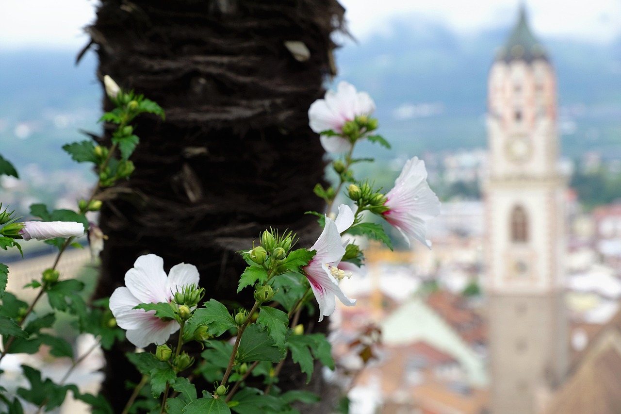 寧波富達股票動態(tài)及市場走勢與前景展望